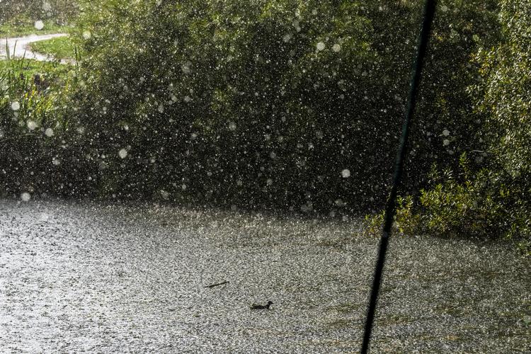 Foto: Ida Marie Odgaard/Ritzau Scanpix