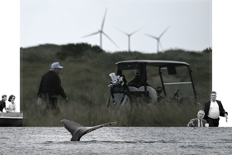 Kollage: Christine Vierø Larsen. Originalfoto: Ritzau Scanpix, Jens Dresling, Freepik