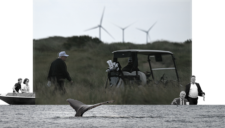 Den amerikanske præsident, Donald Trump, og flere af hans ministre er i åben krig med havvindmølleindustrien. Det er senest gået ud over Ørsted. Endnu et dansk projekt på den amerikanske østkyst kan være truet, vurderer eksperter.  Kollage: Christine Vierø Larsen. Originalfoto: Ritzau Scanpix, Jens Dresling, Freepik