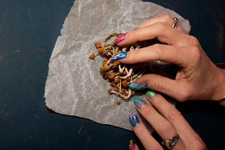 Interessen for psykiatrisk behandling med psykedeliske stoffer vokser. Foto: Tilde Døssing Tornbjerg