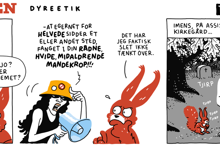 Web_Thorhauge_2025_10_12