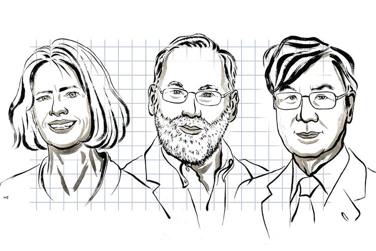 TegningTegning:  Niklas Elmehed/Nobel Prize