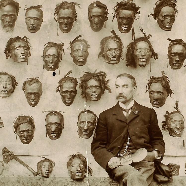 Inden for maorikulturen dyrkedes en død høvding som en forfader. Når en forfader døde, blev hans tatoverede hoved konserveret, for at den spirituelle forbindelse til slægten kunne holdes i live. Men i 1800-tallet blev de et europæisk samlerobjekt. Foto af briten Horatio Gordon Robley med sin samling af mokomokai i 1895.  Foto: Henry Stevens/wellcome Images/H. Stevens/Wellcome Images