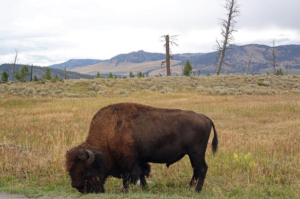 Foto: Jens Henrik Nybo