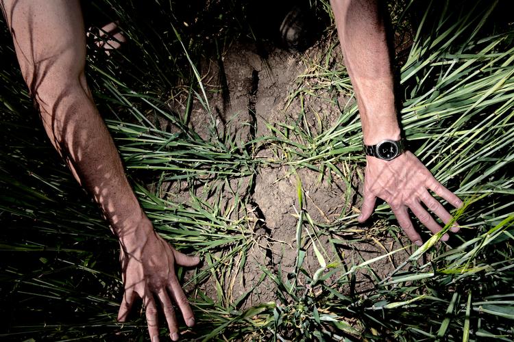 Arkivfoto Martin Lehmann