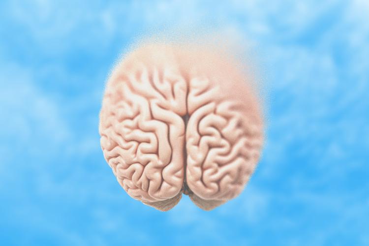 I Alzheimers sygdom går nerveceller langsomt til grunde, og patienterne mister hukommelsen, hvilket gør det svært at fungere i hverdagen. Nu vækker et nyt forskningsgennembrud med det naturligt forekommende molekyle NAD+ som omdrejningspunkt håb om, at det måske kan bruges i kampen mod den frygtede hjernesygdom. Illustration: Rasmus Vendrup / Foto: FP