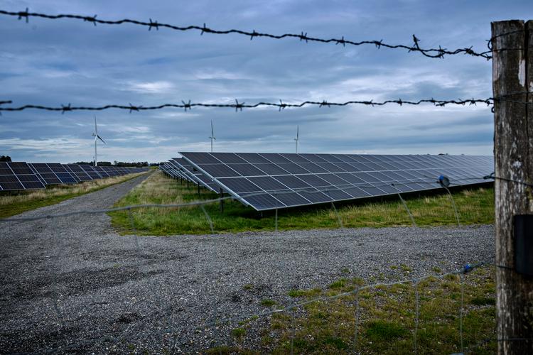 Lolland er et af de steder i landet, der producerer mest grøn strøm. Men nu stopper kommunens nye borgmester udviklingen af tre nye solcelleparker og vil have en ny retning for vedvarende energi. Foto: Martin Lehmann