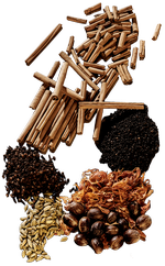 NETfile82qwpxgon5z5xytiw49