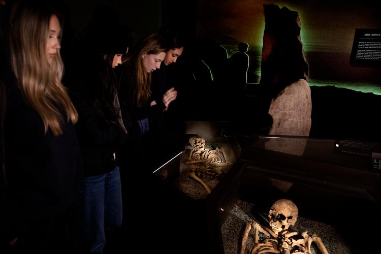 De fire gymnasieelever Albina Lavrenova, Silja Isadora Knutsson Lennert, Ida Frederikke Samsøe og Elena Shahram betragter de to vikingeskeletter, den lille viking Halfdan og den store viking Erik (nederst). De er sammen med deres klasse tæt på at løse mysteriet, om Halfdan fra Vestegnen i virkeligheden var en kvinde. Foto: Finn Frandsen