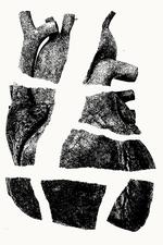 Collage: Karl Emil Agerholm Vendrup