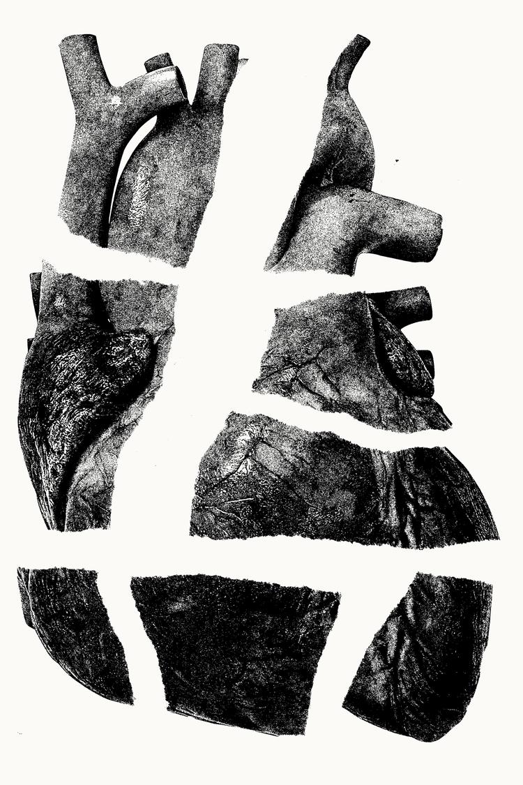 Collage: Karl Emil Agerholm Vendrup