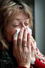 I denne uges brevkasse går hvidløg igen. Løgplanten kan måske kurere en genstridig omgang neglesvamp, men duer ikke mod forkølelse. Foto: Jens Dresling