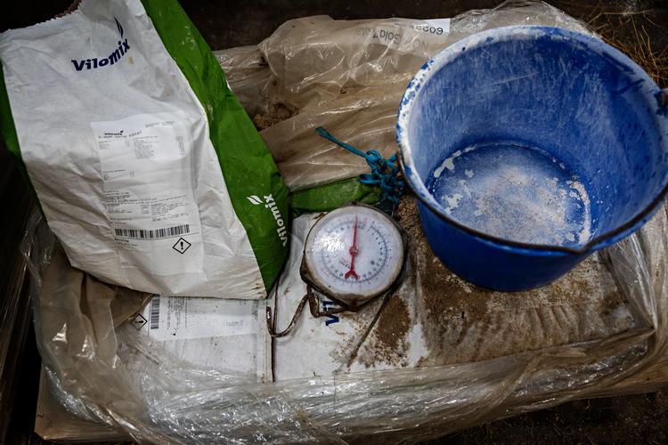 Foto: Martin Lehmann