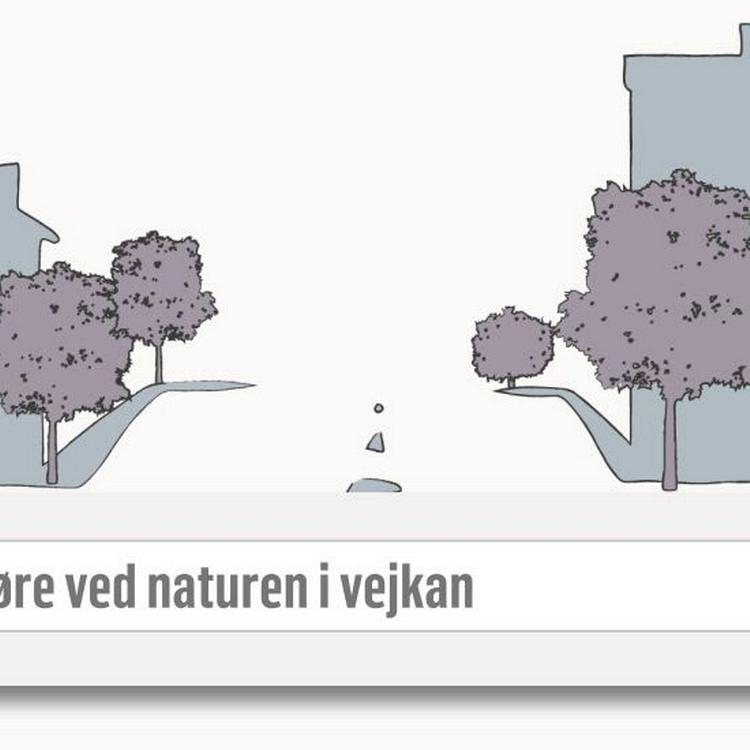 Vælgerplakaterne