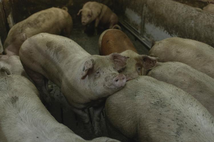 Foto: Katrine Hørup Noer