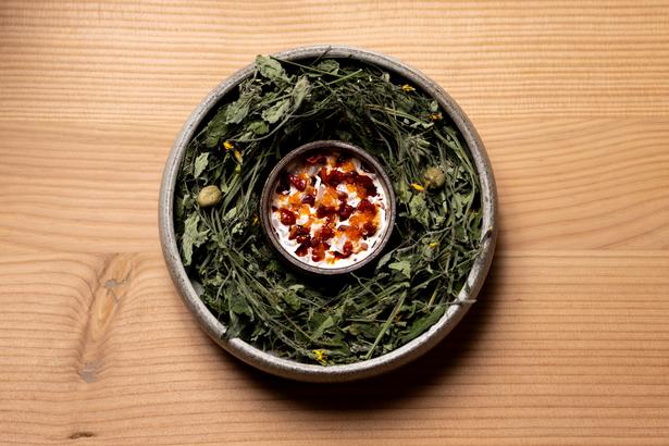 Esse's starter with pike-perch, cream, bell peppers, and chewy habaneros was, according to Politiken's reviewer, fabulous. Foto: Vikki Søholm