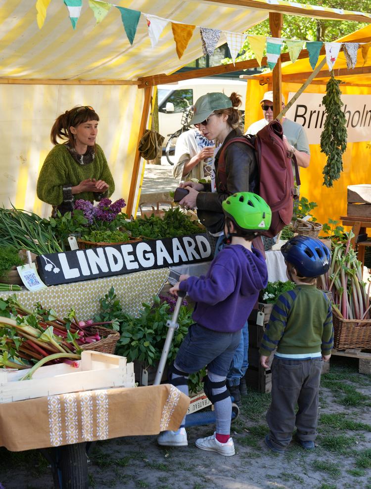 Here's the perfect christmas market for those already tired of december's milk chocolate and plastic junk.  Pr-foto: Grønt Marked.