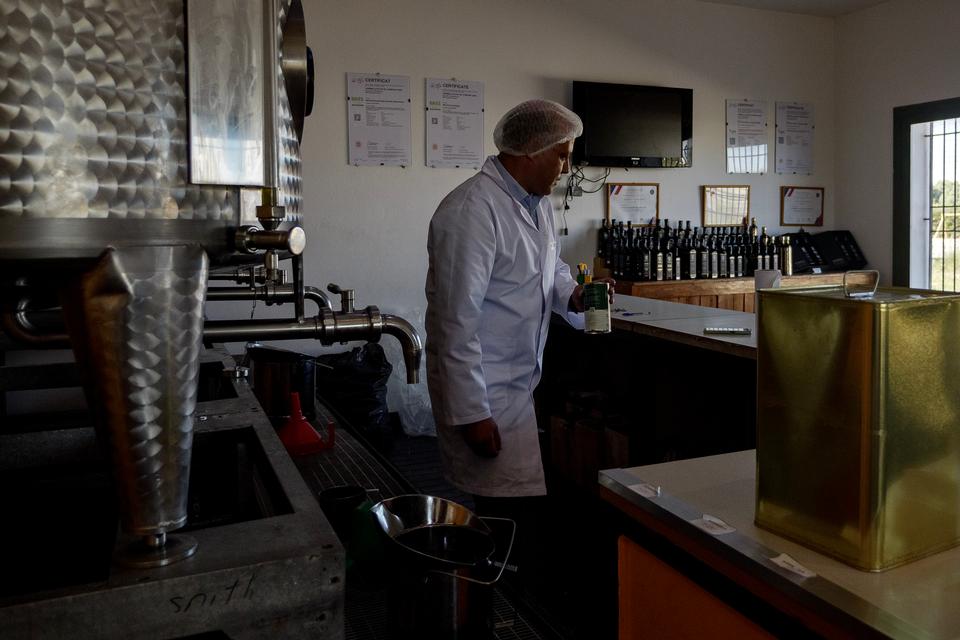 Janus Engel/Janus Engel