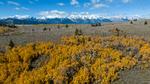 Grand Teton National Park i Wyoming. Foto: Bradly J. Boner/Ritzau Scanpix