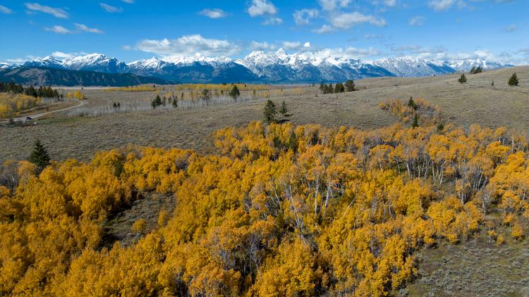 Grand Teton National Park i Wyoming. Foto: Bradly J. Boner/Ritzau Scanpix