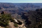 Grand Canyon i Arizona. Foto: Kaylee Greenlee/Ritzau Scanpix
