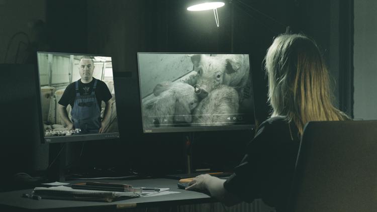 Der passes ikke godt nok på grisene, siger Mette Rørbæk Gantzhorn, der er forperson for Den Danske Dyrlægeforening. Foto: Mikael Ib Hansen/Kompagniet/TV 2