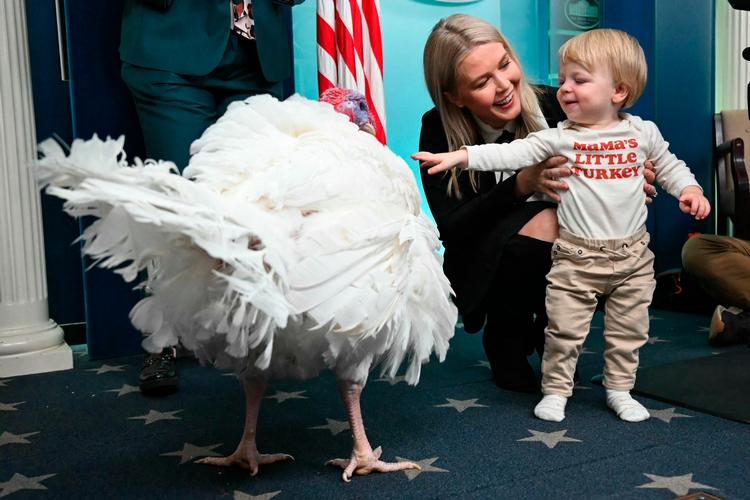 Det Hvide Hus' pressesekretær, Karoline Leavitt, er en af præsident Donald Trumps mest eksponerede medarbejdere. Her ses hun sammen med sin søn, Niko, da Trump i november benådede en kalkun i anledning af thanksgiving. Foto: Andrew Caballero-reynolds/Ritzau Scanpix