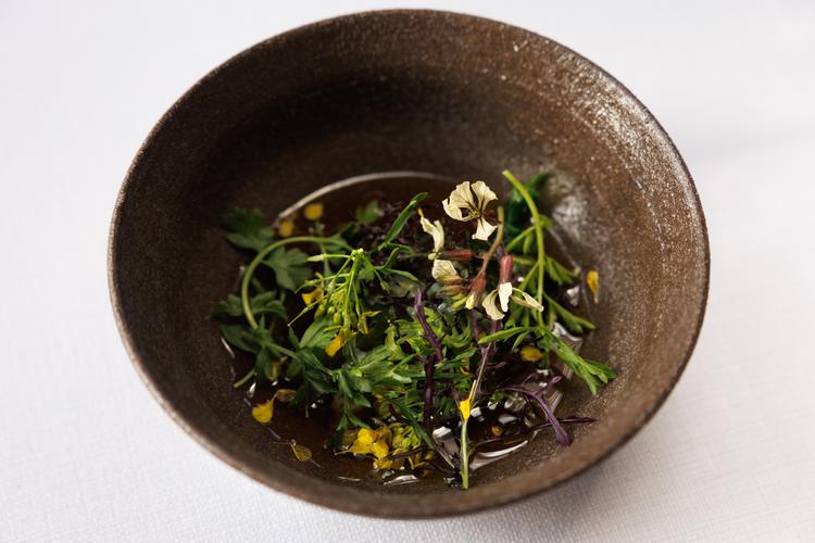 The ten-armed squid was sliced into noodles and lay in a delicious chicken broth beneath cilantro, fermented cucumbers, and seaweed. Foto: Jacob Ehrbahn
