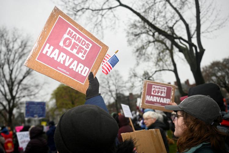 Demonstranter samles i en protest, der opfordrer Harvards ledelse til at modstå indblanding fra den føderale regering. Foto: Nicholas Pfosi/Ritzau Scanpix
