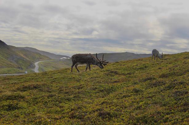 Foto: Marie Maschoreck