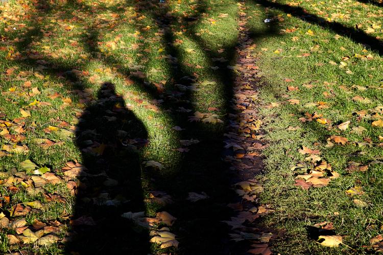 Foto: Per Folkver