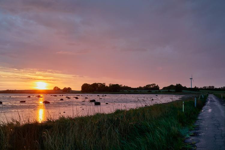 Sidste år udgav Thomas Boberg romanen 'Insula', som skabte en debat – og senere en injuriesag – om, hvorvidt menneskene skildret i romanen er fakta eller fiktion. Ann-Mai Hansen mener, at det er en umulig opgave at læse bogen som udelukkende fiktion. Foto: Morten Langkilde/Morten Langkilde
