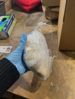 original-4CAAEA77-CFCD-460B-A883-F9E5EDB711A7