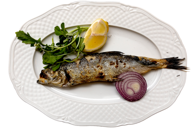 WEBfile83j7dbspmc980zevjb9