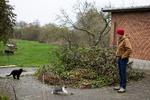 Forfatter Thomas Bobergs kritikerroste roman 'Insula' får nu modsvar af en Fejø-bo, der hver dag i december offentliggør et nyt kapitel af sit genmæle. Arkivfoto: Thomas Borberg