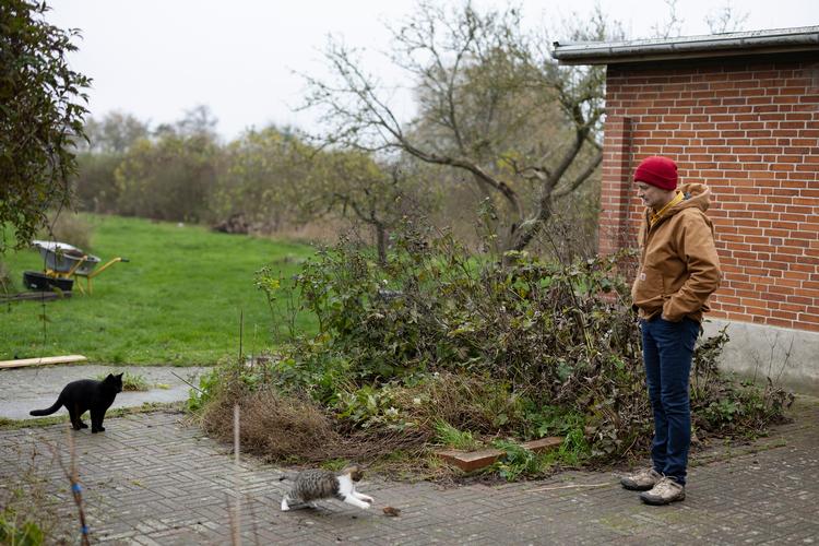 Forfatter Thomas Bobergs kritikerroste roman 'Insula' får nu modsvar af en Fejø-bo, der hver dag i december offentliggør et nyt kapitel af sit genmæle. Arkivfoto: Thomas Borberg