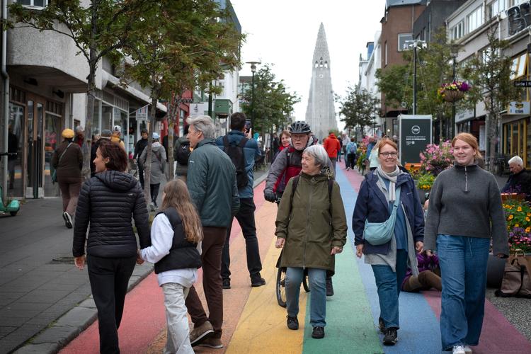 Island er en lille nation, der har brug for en regelbaseret verden. Derfor er Donald Trump blevet et problem for Island, og det har sat gang i en diskussion om EU. Arkivfoto: Jens Dresling