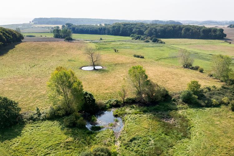 Regeringen afviser at medtage udledninger fra danskernes forbrug i udlandet i deres beregninger. Dette er problematisk, da en betydelig del af de varer, som danskerne køber, bliver produceret i udlandet, hvor udledningerne finder sted.  Foto: Finn Frandsen