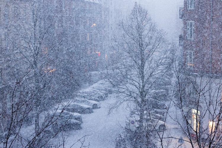 Det ser så smukt og rigtigt ud med snevejr om vinteren. Og ind imellem sker det også, som her i begyndelsen af januar 2025. Foto: Finn Frandsen