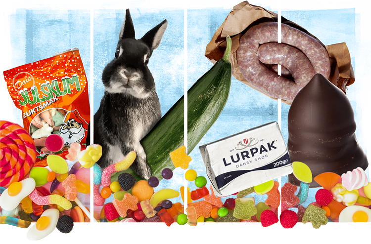 Kolllage: Kira Bube. Originalfoto: Kira Bube, Morten Langkilde, Miriam Dalsgaard, Rune Pedersen, Thomas Borberg, Freepik, Texturelabs. Model: Arthur