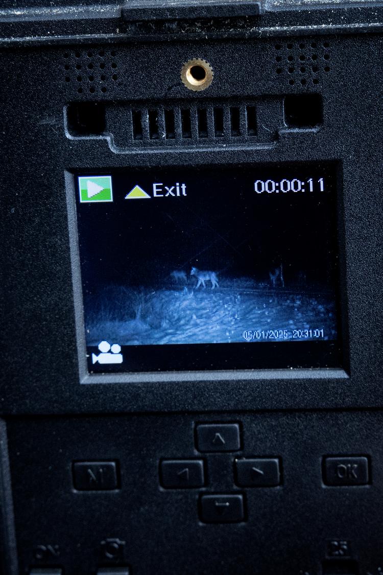 Foto: Martin Lehmann