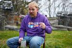 Graham Platner har en tatovering af en hundeskikkelse viklet ind i en plantes arme på sin krop. Tidligere var tatoveringen mere kontroversiel, da det var et dødningehoved med korslagte knogler – et såkaldt totenkopf. Foto: Robert F. Bukaty/Ritzau Scanpix