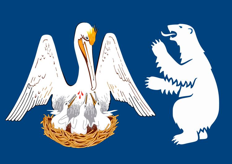 Pelikanen er Louisianas og isbjørnen er Grønlands symbol. Men hvem æder hvem? Foto: Wikimedia Commons