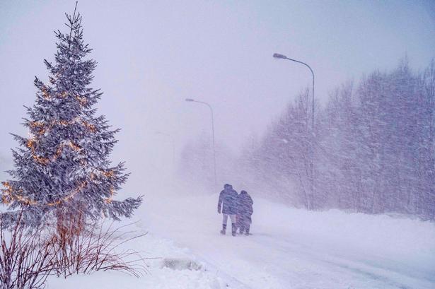 Foto: Sam Hedman/Ritzau Scanpix