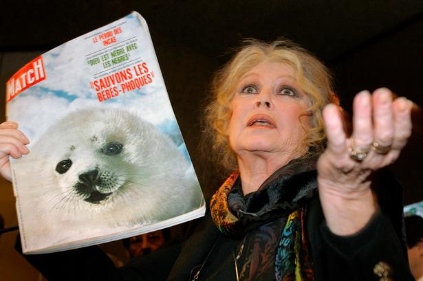 Foto: Fabrice Coffrini/Ritzau Scanpix