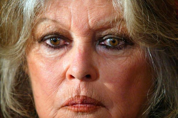 Foto: Francois Guillot, -/Ritzau Scanpix