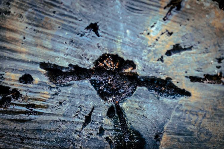 Foto: Miriam Dalsgaard