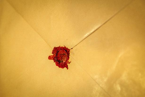 Lakseglet med bogstaverne EM må formodes at stå for Eggert Møller. Han var datteren Irmelin Carl Nielsens mand og var den, som afleverede brevene til Det Kongelige Bibliotek. Foto: Miriam Dalsgaard