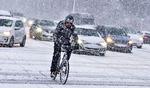 Januar er startet meget koldt og hvidt, men nu er temperaturen på vej op i plus med slud og regn til følge. Foto: Henning Bagger/Ritzau Scanpix