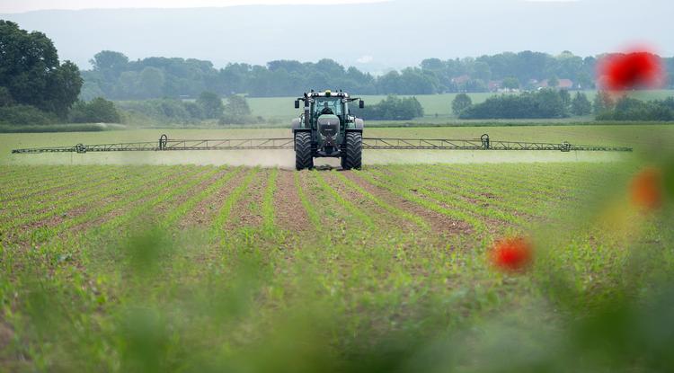 Kun 1,5 procent af det areal, hvor drikkevandet dannes, er beskyttet mod pesticider, konkluderer Miljøministeriet i en ny rapport. Fotoet er fra Tyskland.  Foto: Sebastian Gollnow/Ritzau Scanpix